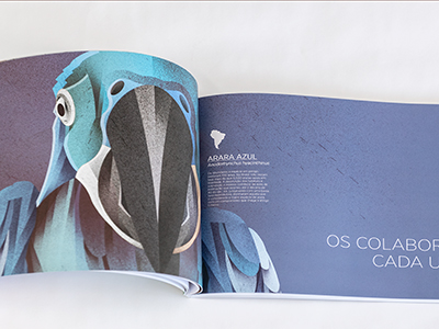 Click to enlarge image offset5.jpg Click to enlarge image offset5.jpg